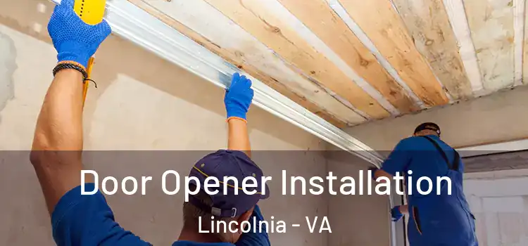 Door Opener Installation Lincolnia - VA