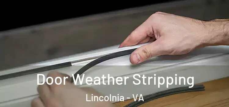 Door Weather Stripping Lincolnia - VA