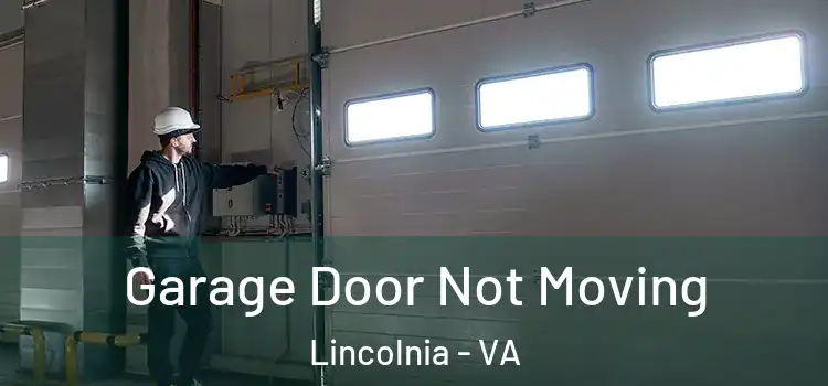  Garage Door Not Moving Lincolnia - VA