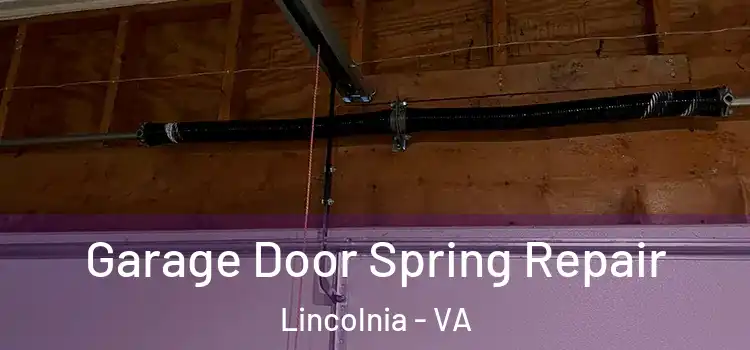  Garage Door Spring Repair Lincolnia - VA