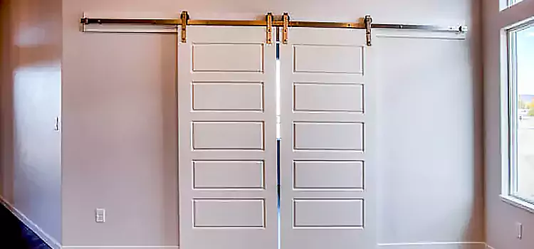 Glass Barn Door with Installation Hardware Kit Lincolnia