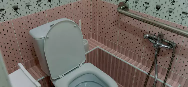 Meeting Diverse Needs With Accessible Restroom Solutions in Lincolnia, VA