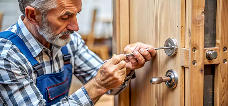Mortise Replacement Lock Lincolnia