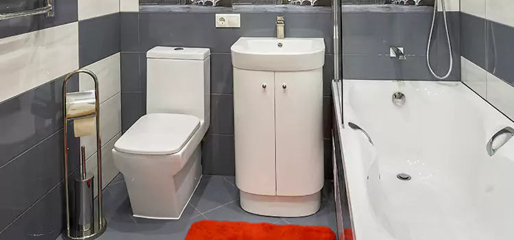 Hansgrohe Shaving Mirror Lincolnia