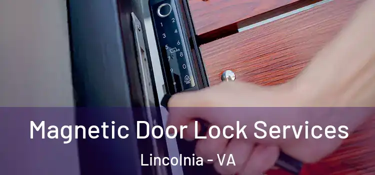 Magnetic Door Lock Services Lincolnia - VA