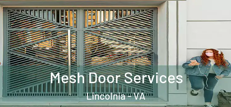 Mesh Door Services Lincolnia - VA