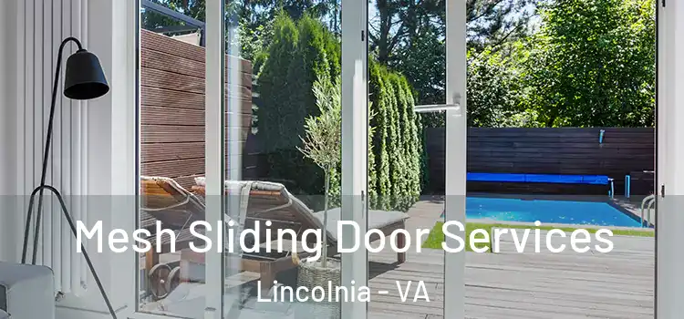 Mesh Sliding Door Services Lincolnia - VA