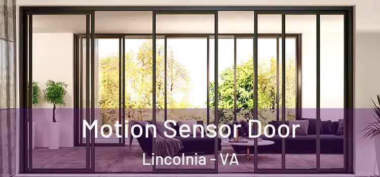 Motion Sensor Door Lincolnia - VA